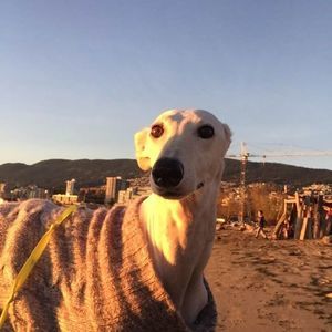 Meet your Posher, Carrie